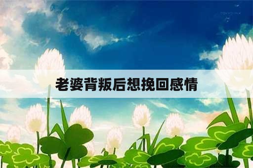 老婆背叛后想挽回感情