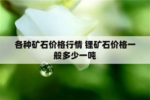 各种矿石价格行情 锂矿石价格一般多少一吨