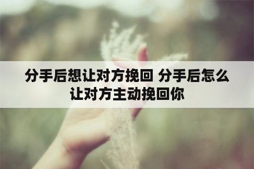 分手后想让对方挽回 分手后怎么让对方主动挽回你