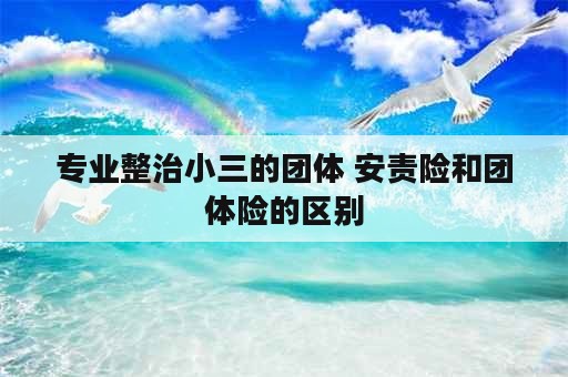 专业整治小三的团体 安责险和团体险的区别