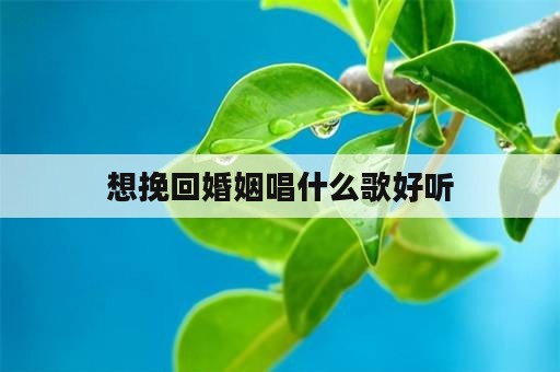 想挽回婚姻唱什么歌好听