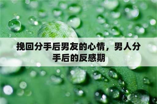 挽回分手后男友的心情，男人分手后的反感期