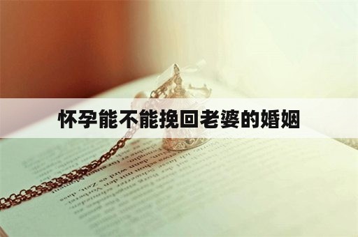 怀孕能不能挽回老婆的婚姻