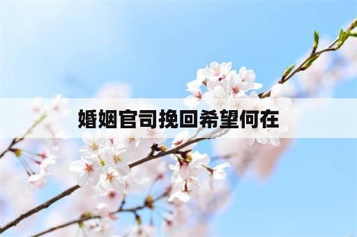 婚姻官司挽回希望何在