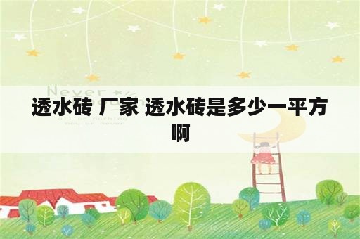 透水砖 厂家 透水砖是多少一平方啊