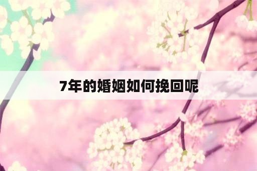 7年的婚姻如何挽回呢