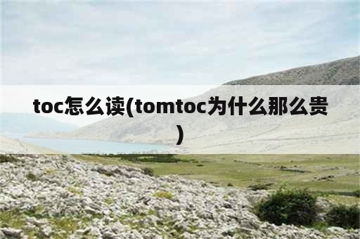 toc怎么读(tomtoc为什么那么贵)