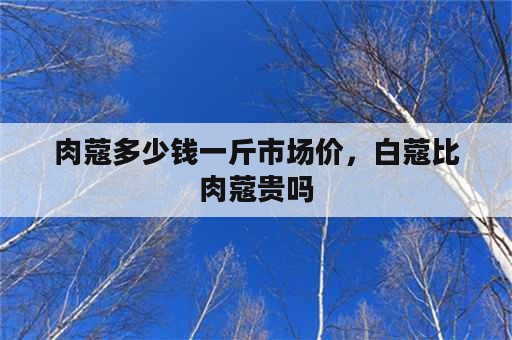 肉蔻多少钱一斤市场价，白蔻比肉蔻贵吗