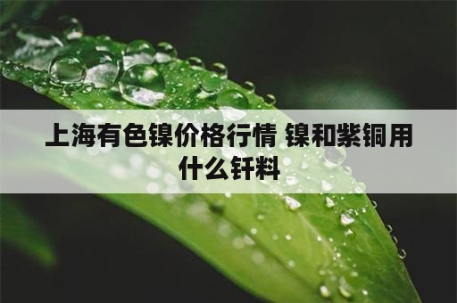 上海有色镍价格行情 镍和紫铜用什么钎料