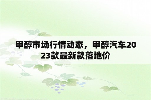 甲醇市场行情动态，甲醇汽车2023款最新款落地价