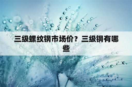 三级螺纹钢市场价？三级钢有哪些