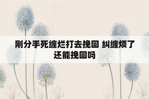 刚分手死缠烂打去挽回 纠缠烦了还能挽回吗