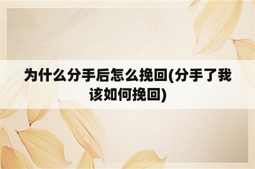 为什么分手后怎么挽回(分手了我该如何挽回)