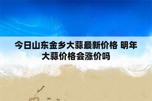 今日山东金乡大蒜最新价格 明年大蒜价格会涨价吗