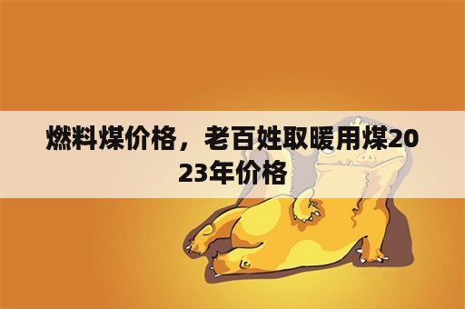 燃料煤价格，老百姓取暖用煤2023年价格