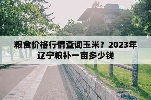 粮食价格行情查询玉米？2023年辽宁粮补一亩多少钱