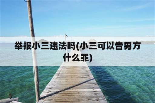 举报小三违法吗(小三可以告男方什么罪)