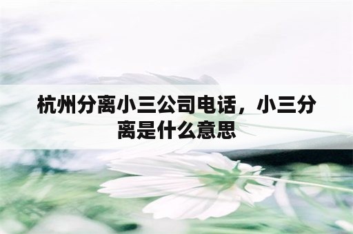 杭州分离小三公司电话，小三分离是什么意思