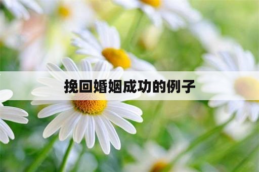 挽回婚姻成功的例子