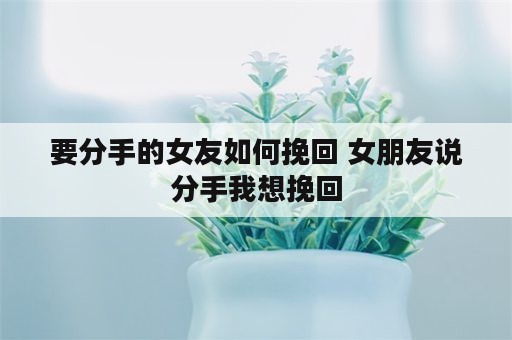 要分手的女友如何挽回 女朋友说分手我想挽回