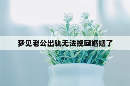 梦见老公出轨无法挽回婚姻了