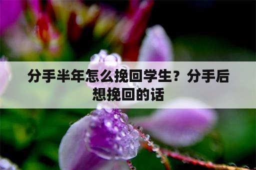 分手半年怎么挽回学生？分手后想挽回的话