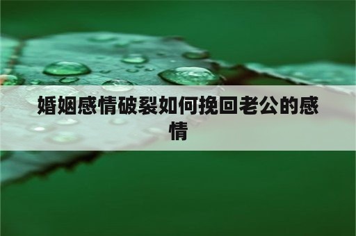 婚姻感情破裂如何挽回老公的感情