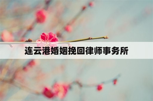 连云港婚姻挽回律师事务所