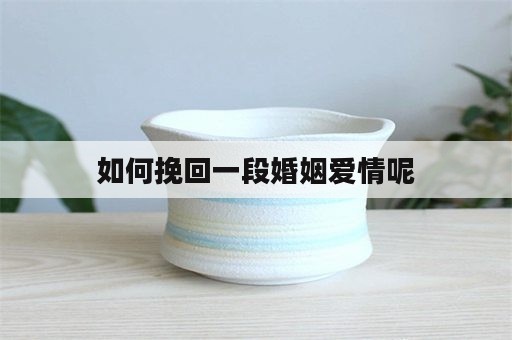 如何挽回一段婚姻爱情呢