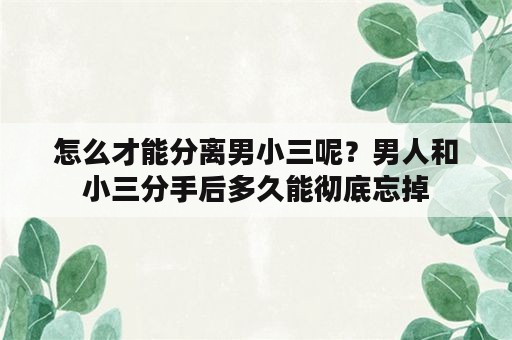 怎么才能分离男小三呢？男人和小三分手后多久能彻底忘掉