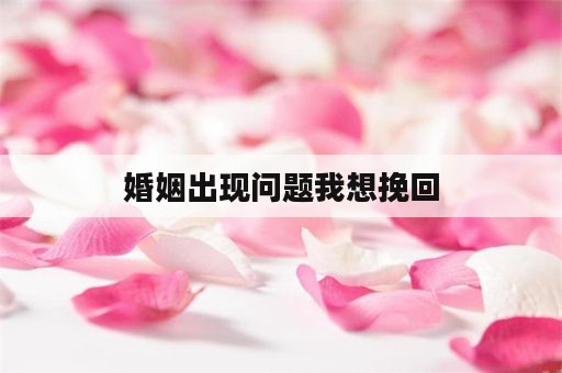 婚姻出现问题我想挽回