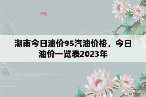 湖南今日油价95汽油价格，今日油价一览表2023年