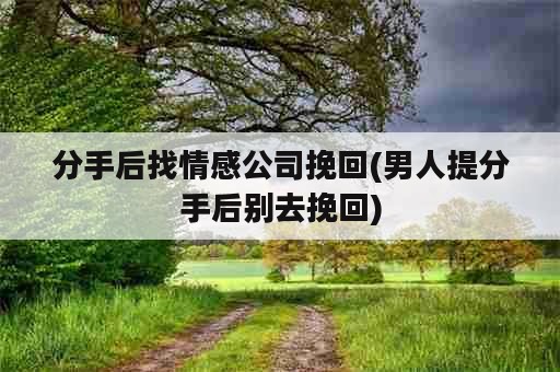 分手后找情感公司挽回(男人提分手后别去挽回)