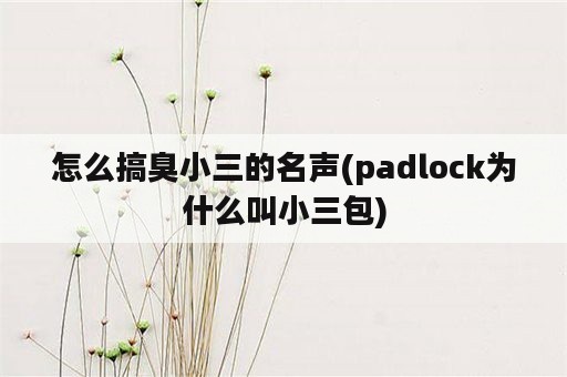 怎么搞臭小三的名声(padlock为什么叫小三包)