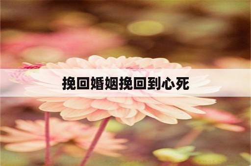 挽回婚姻挽回到心死