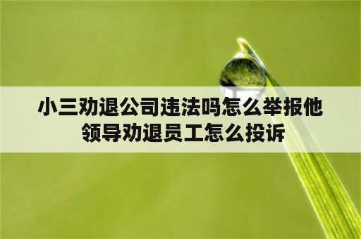 小三劝退公司违法吗怎么举报他 领导劝退员工怎么投诉