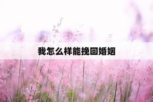 我怎么样能挽回婚姻