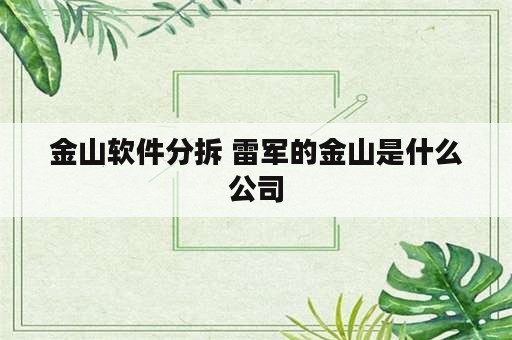 金山软件分拆 雷军的金山是什么公司