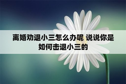 离婚劝退小三怎么办呢 说说你是如何击退小三的