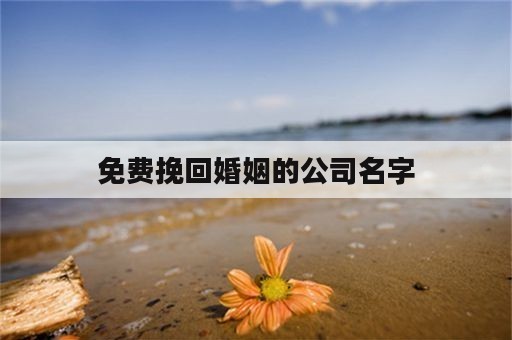 免费挽回婚姻的公司名字