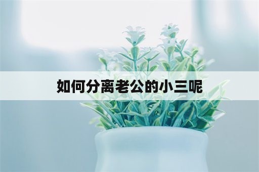 如何分离老公的小三呢