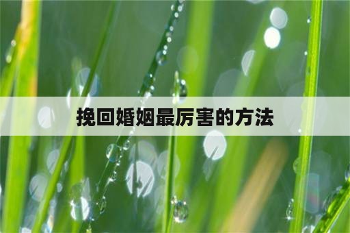 挽回婚姻最厉害的方法