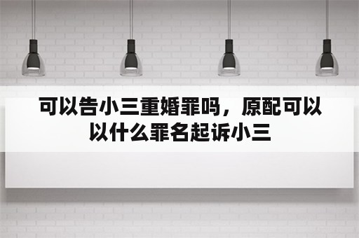 可以告小三重婚罪吗，原配可以以什么罪名起诉小三