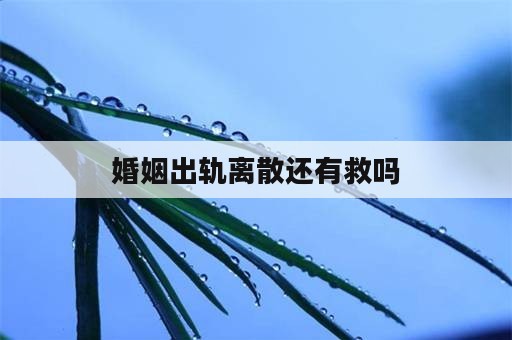 婚姻出轨离散还有救吗