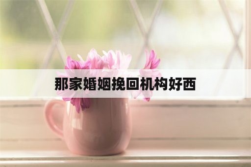 那家婚姻挽回机构好西