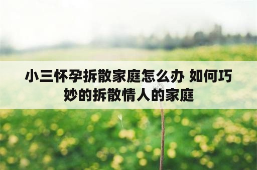 小三怀孕拆散家庭怎么办 如何巧妙的拆散情人的家庭