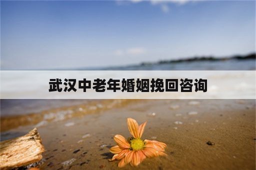 武汉中老年婚姻挽回咨询