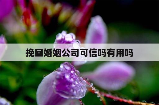 挽回婚姻公司可信吗有用吗