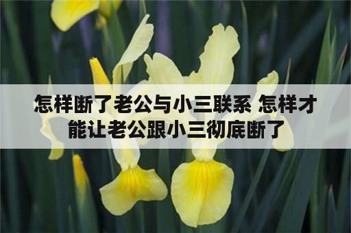 怎样断了老公与小三联系 怎样才能让老公跟小三彻底断了