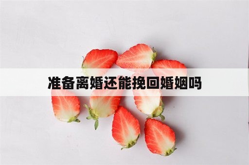 准备离婚还能挽回婚姻吗